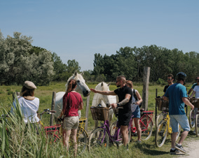 Team Building Chasse au Trésor Camargue - 3