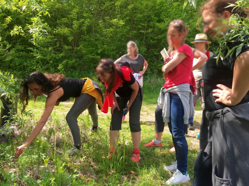 Team Building Nature et Sensoriel - 3