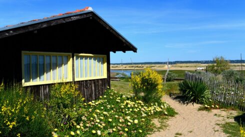 Cap Ferret